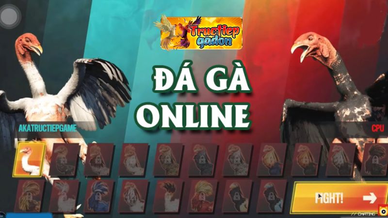 Trực tiếp đá gà online - Trải Nghiệm Hấp Dẫn Và Cơ Hội Kiếm Tiền Đỉnh Nhất Tại Nhà Cái Jun88
